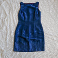 CDC Sapphire Blue Shimmer Sheath Dress | Size 6